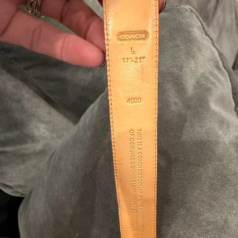 Coach Collar & Leash Set, Red Leather, ♥️ charm, Sz Lg, 17-21”, 48” leash - Picture 4 of 12